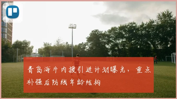 青岛海牛内援引进计划曝光，重点补强后防线年龄结构