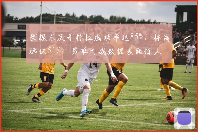 樊振东反手拧拉成功率达85%，林高远仅51%，男单内战数据差距惊人